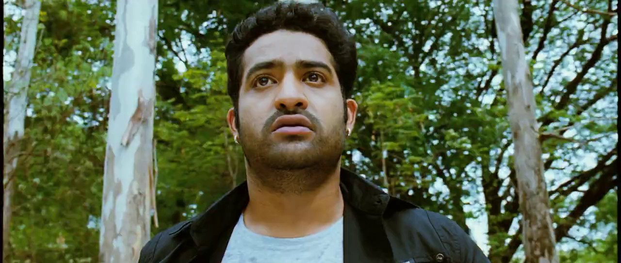 Brindavanam (2010) BluRay Hindi + Telugu 720p x264 AVC HE-AAC 2.0 ESub.mkv.0004